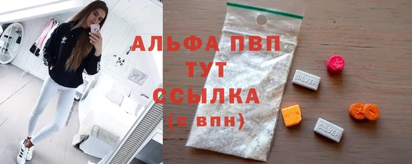 прущие грибы Михайловск