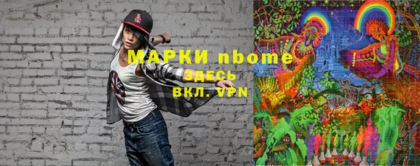 прущие грибы Михайловск