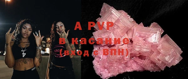 прущие грибы Михайловск