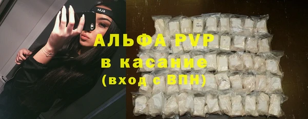 прущие грибы Михайловск