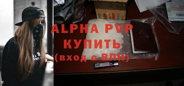 прущие грибы Михайловск