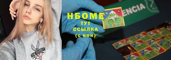 ПСИЛОЦИБИНОВЫЕ ГРИБЫ Михайлов