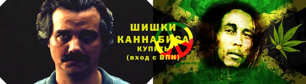 ПСИЛОЦИБИНОВЫЕ ГРИБЫ Михайлов