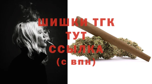 ПСИЛОЦИБИНОВЫЕ ГРИБЫ Михайлов