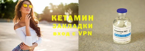 прущие грибы Михайловск