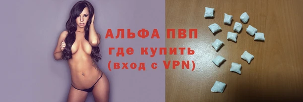 прущие грибы Михайловск