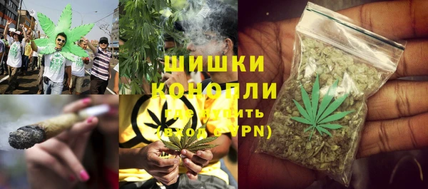 прущие грибы Михайловск