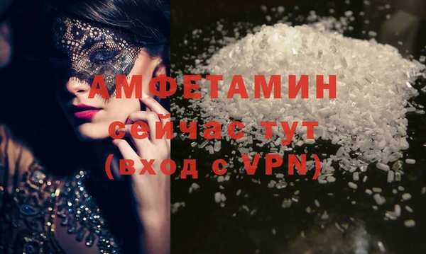 ПСИЛОЦИБИНОВЫЕ ГРИБЫ Михайлов