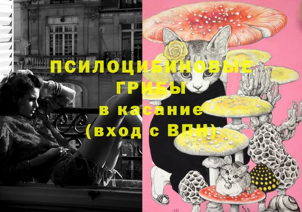 ПСИЛОЦИБИНОВЫЕ ГРИБЫ Михайлов