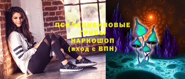 ПСИЛОЦИБИНОВЫЕ ГРИБЫ Михайлов