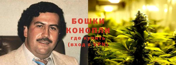 прущие грибы Михайловск