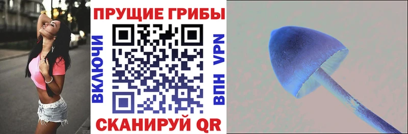 Псилоцибиновые грибы мухоморы  купить закладку  Нижнекамск 
