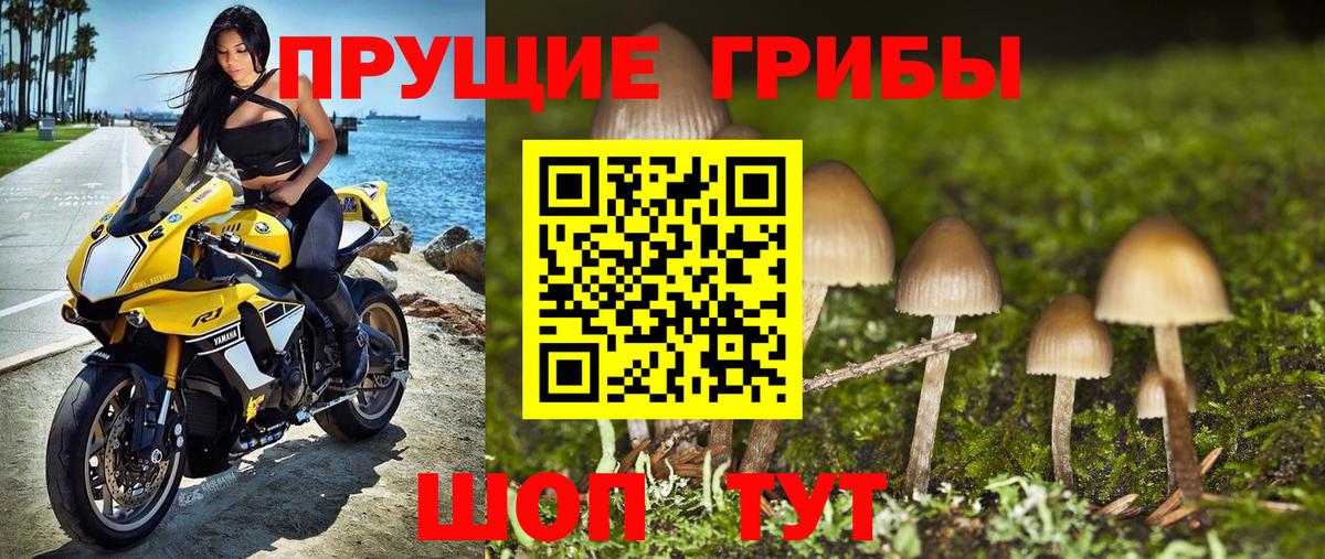 Нижнекамск  Псилоцибиновые грибы MAGIC MUSHROOMS  Вход с VPN  Галлюциногенные грибы мицелий 
