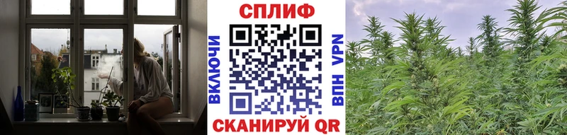 Шишки марихуана ГИДРОПОН  купить наркотик  Нижнекамск 