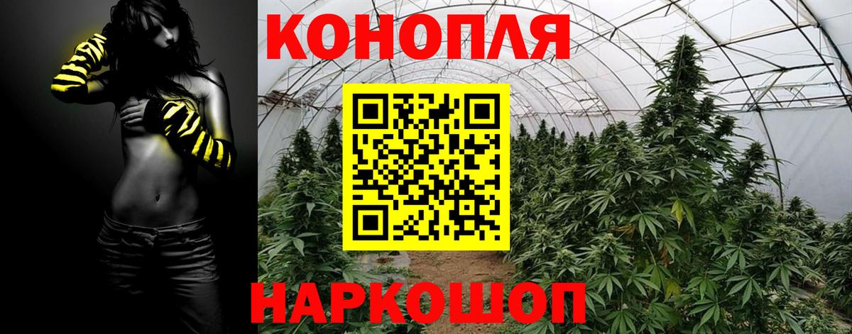 Канабис план Нижнекамск